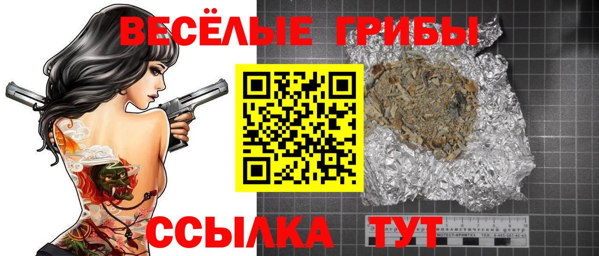 Вятские Поляны  Псилоцибиновые грибы Psilocybe  цена наркотик  Галлюциногенные грибы Psilocybine cubensis  Вход с VPN 